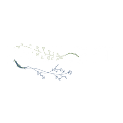 Rawdahti